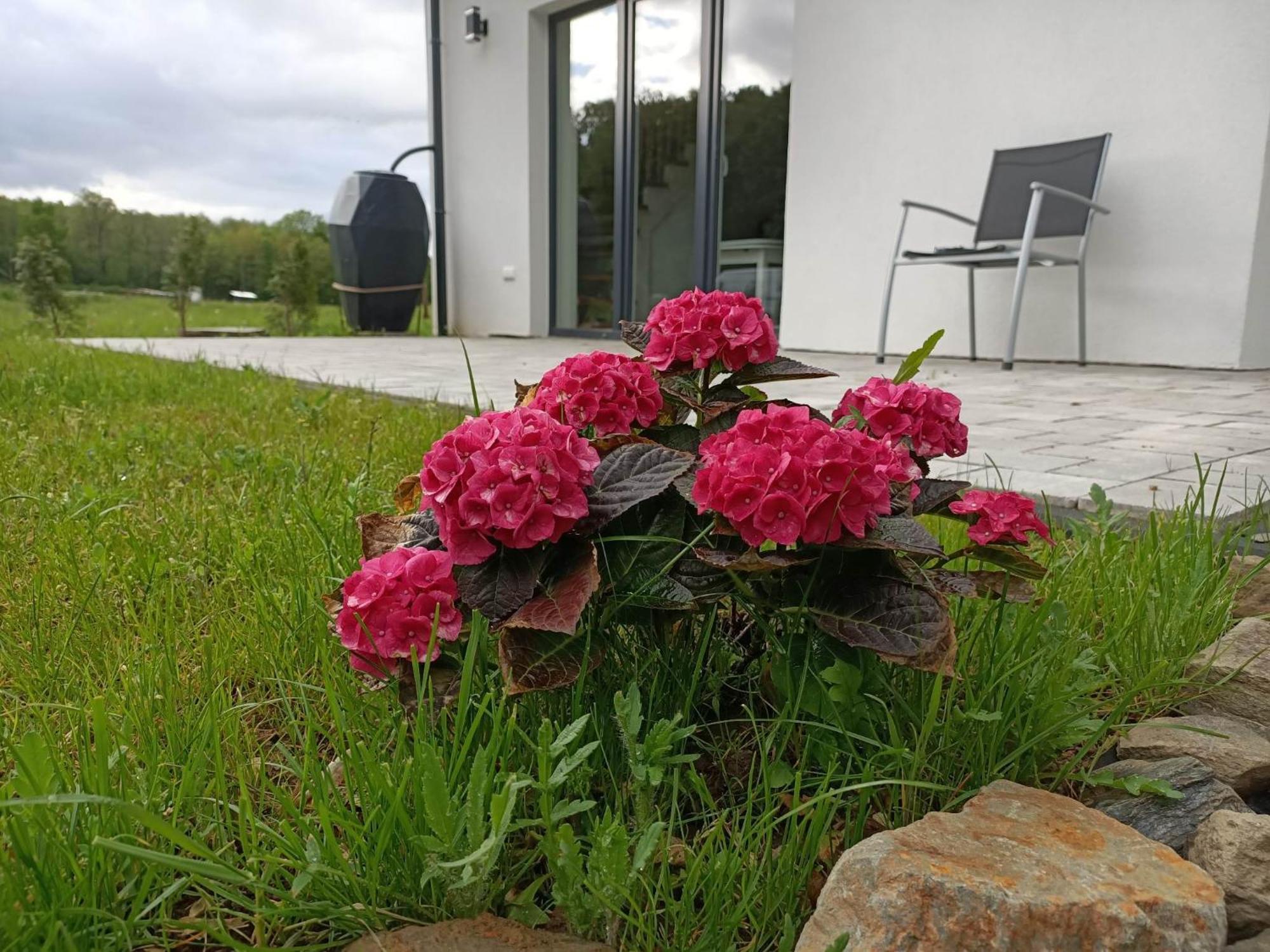 Przystanek Pokrzywna Villa Eksteriør bilde